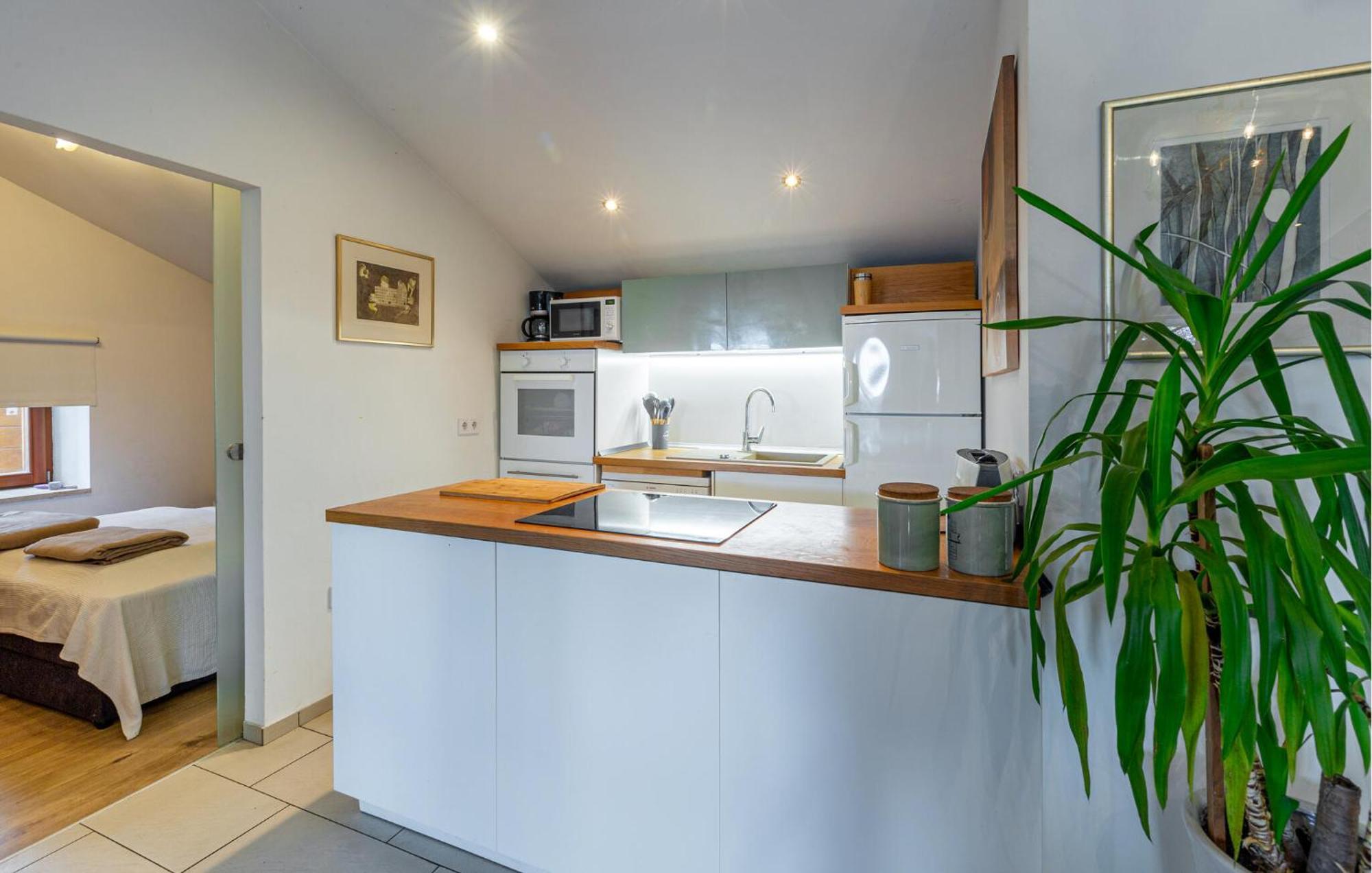 Apartment Stunning In With Kitchen Poreč